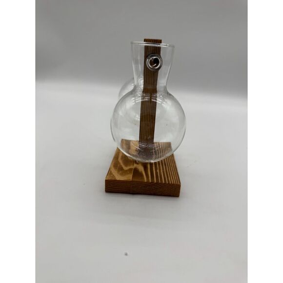 Decorative Glass Plant Jars Wooden Base for Hydroponic and Plant Propagation - Picture 5 of 6